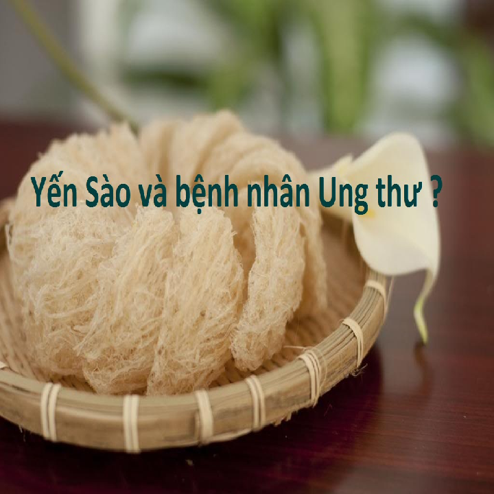 yến sào và bệnh nhân ung thư